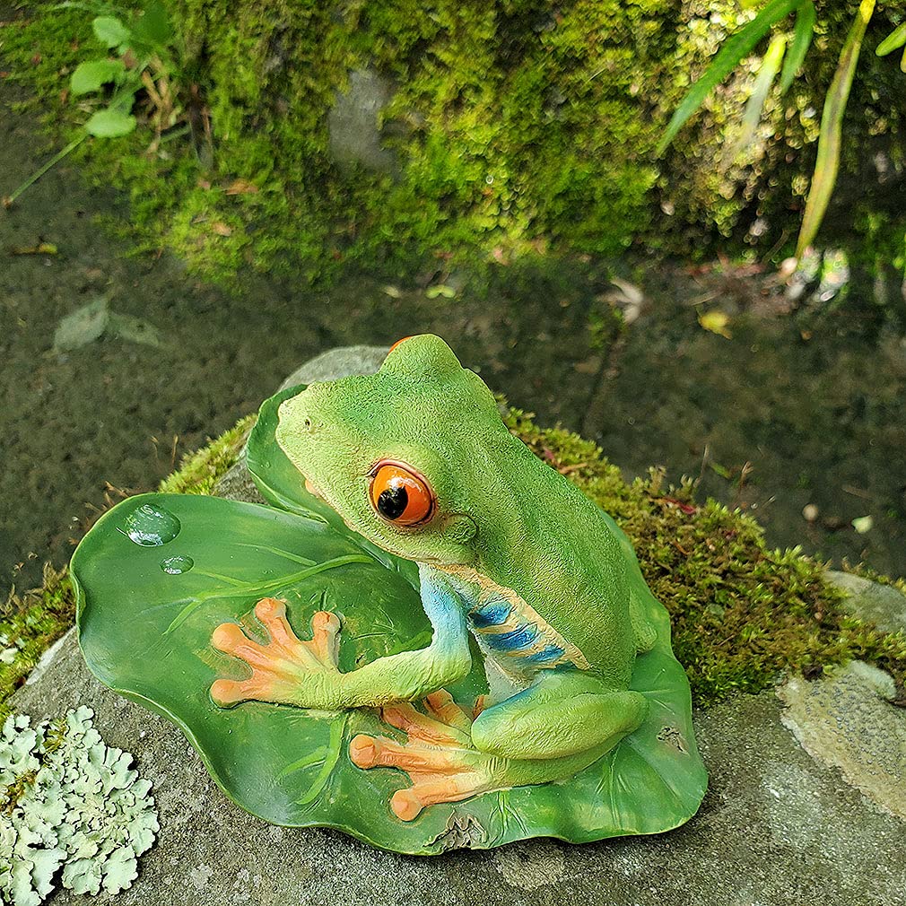 Amazon.co.jp: Devarier ca187a Frog Figurine, Redneck Frog, Resin